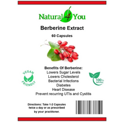 Berberine Extract 60 Capsules