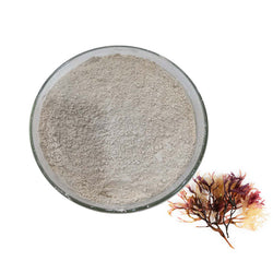 irish moss powder 100g